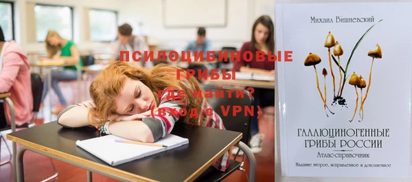 стафф Нефтегорск