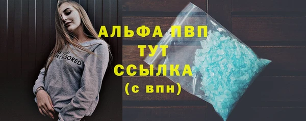 спиды Сосновый Бор
