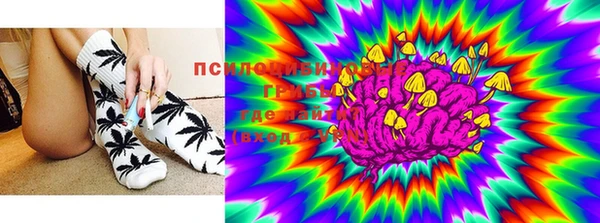 стафф Нефтегорск