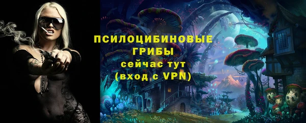 дурь Нея