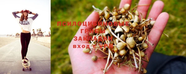 дурь Нея