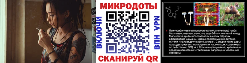 Галлюциногенные грибы Psilocybe  Яранск 