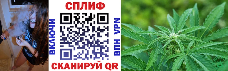 Каннабис OG Kush  Яранск 
